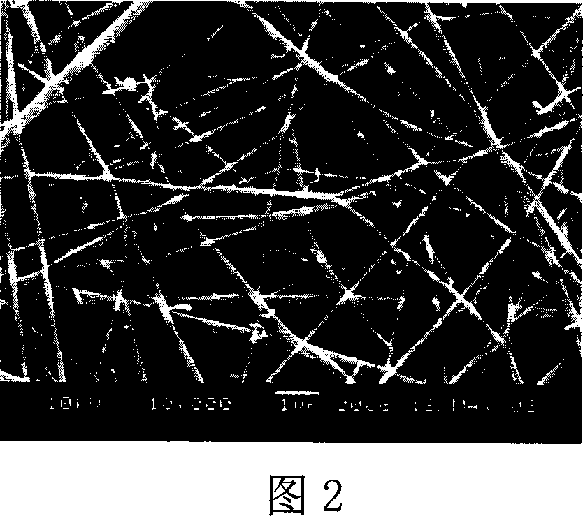 Preparing method and use of chitosan-containing nano fibrous tissue recovery support