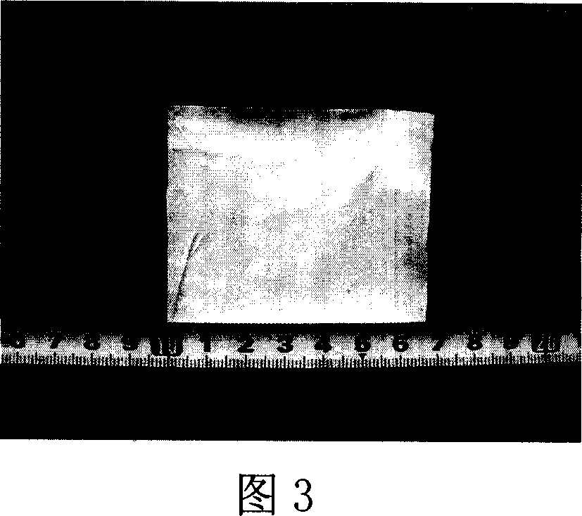 Preparing method and use of chitosan-containing nano fibrous tissue recovery support