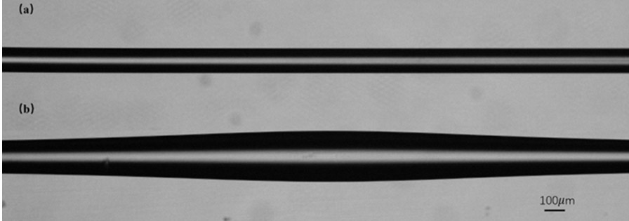 A kind of optical fiber mode field adapter assembly and preparation method thereof