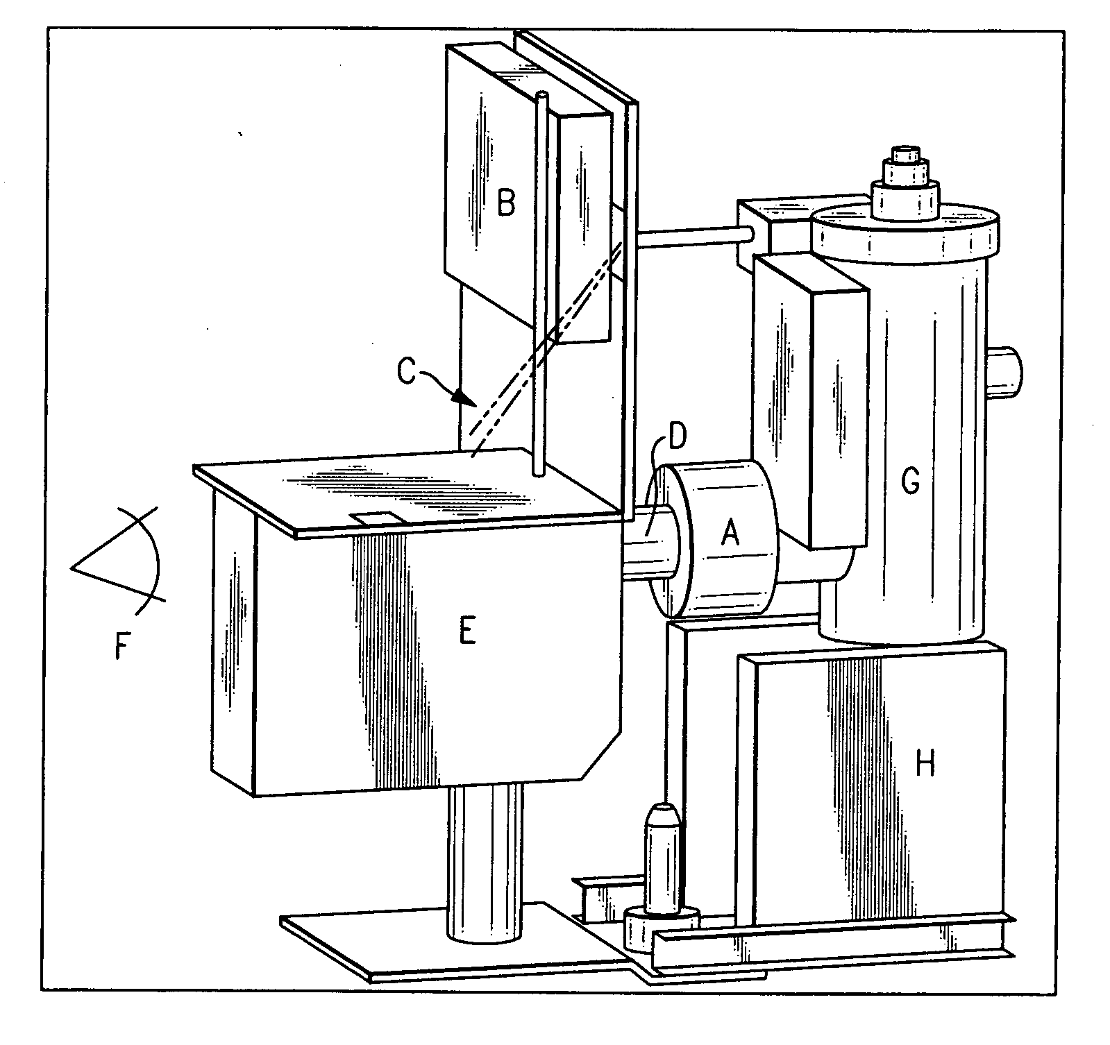 System and method for optical imaging of human retinal function