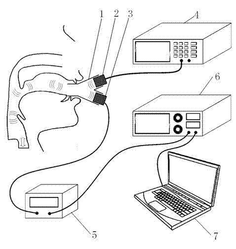 Vocal-cord vibration nondestructive measurement method utilizing natural sound track ultraphonic waveguide effect