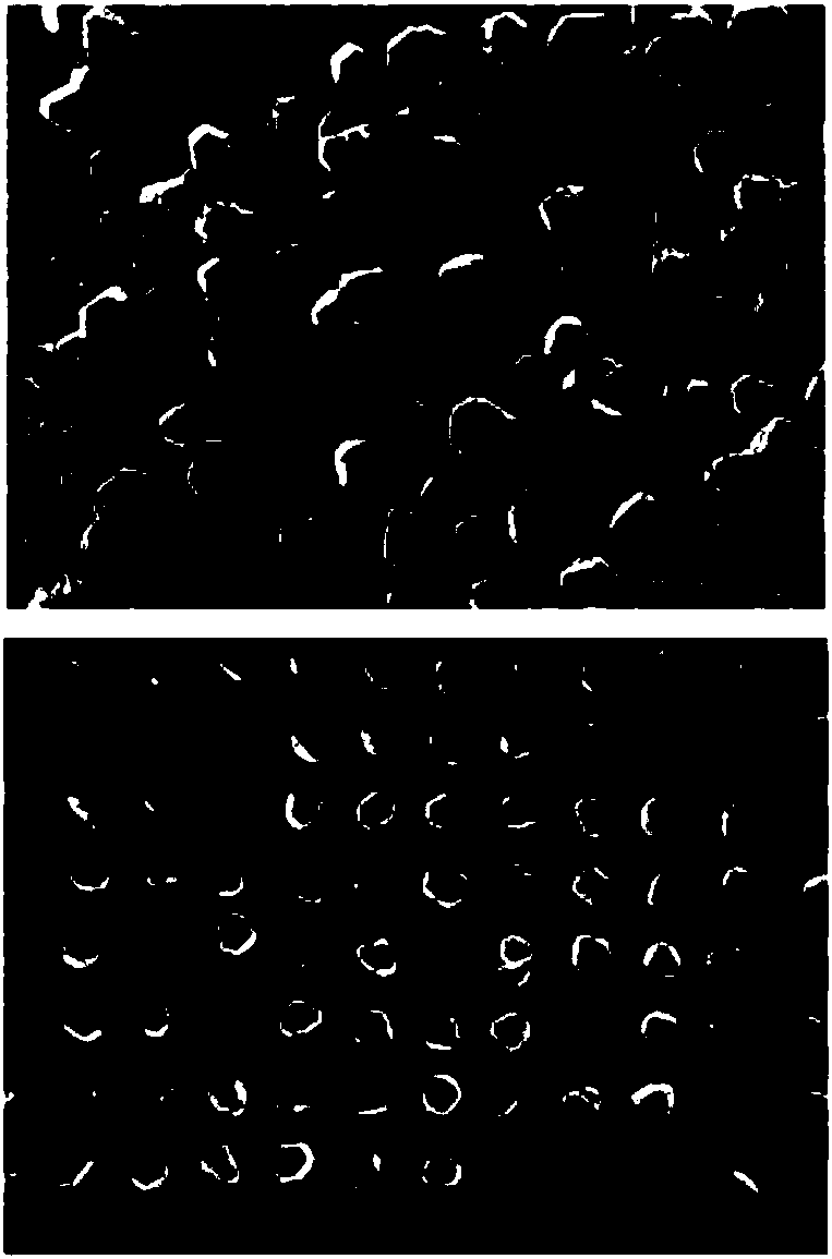 Method for preparing diamond abrasive material tool with orderly distributed abrasive particles by utilizing mask