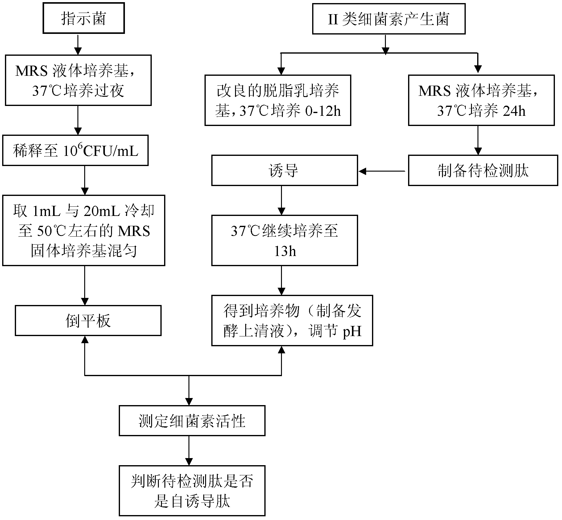 Method for detecting or detecting II type bacteriocin producing strain quorum sensing signal peptide in auxiliary mode