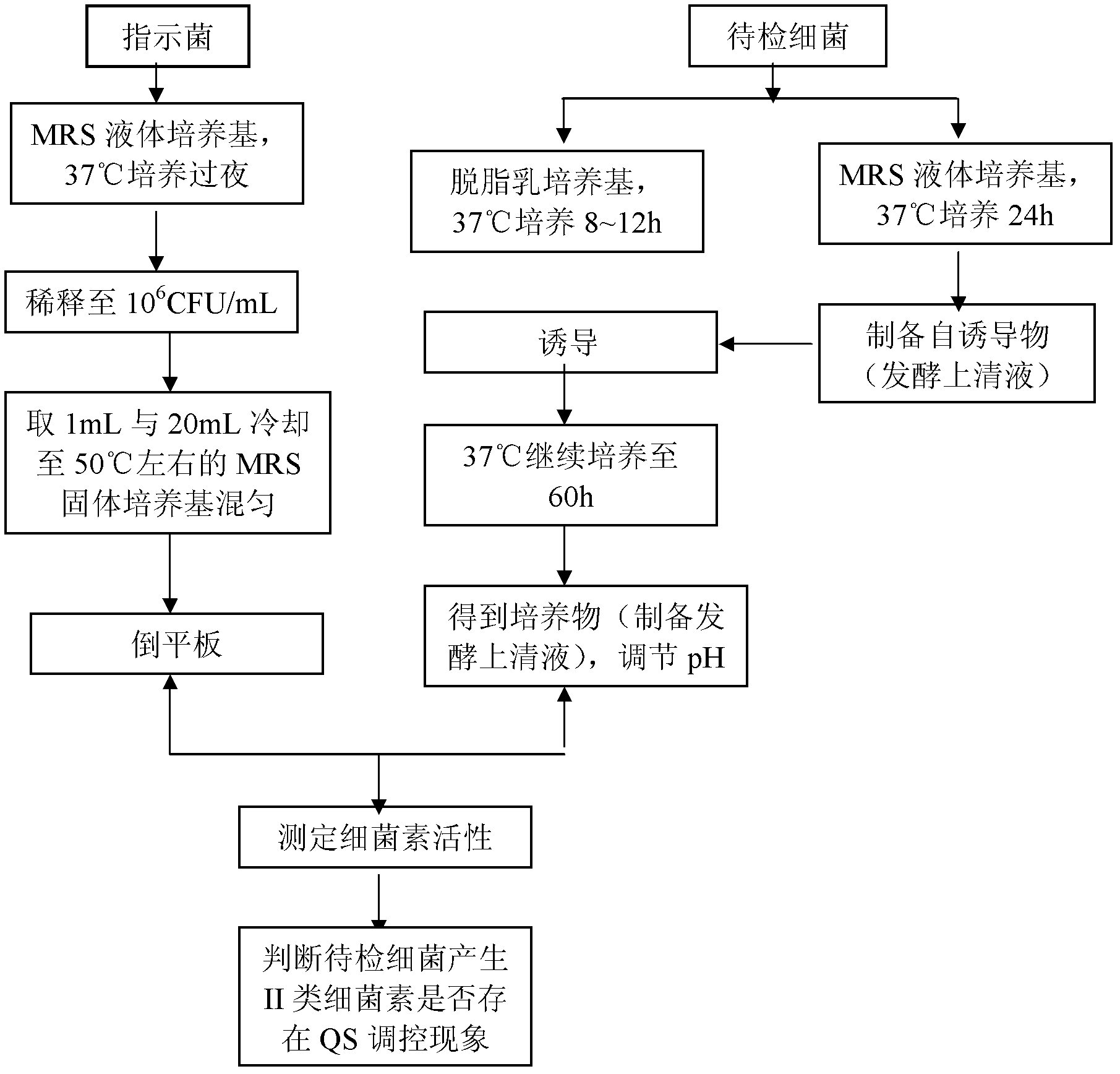 Method for detecting or detecting II type bacteriocin producing strain quorum sensing signal peptide in auxiliary mode