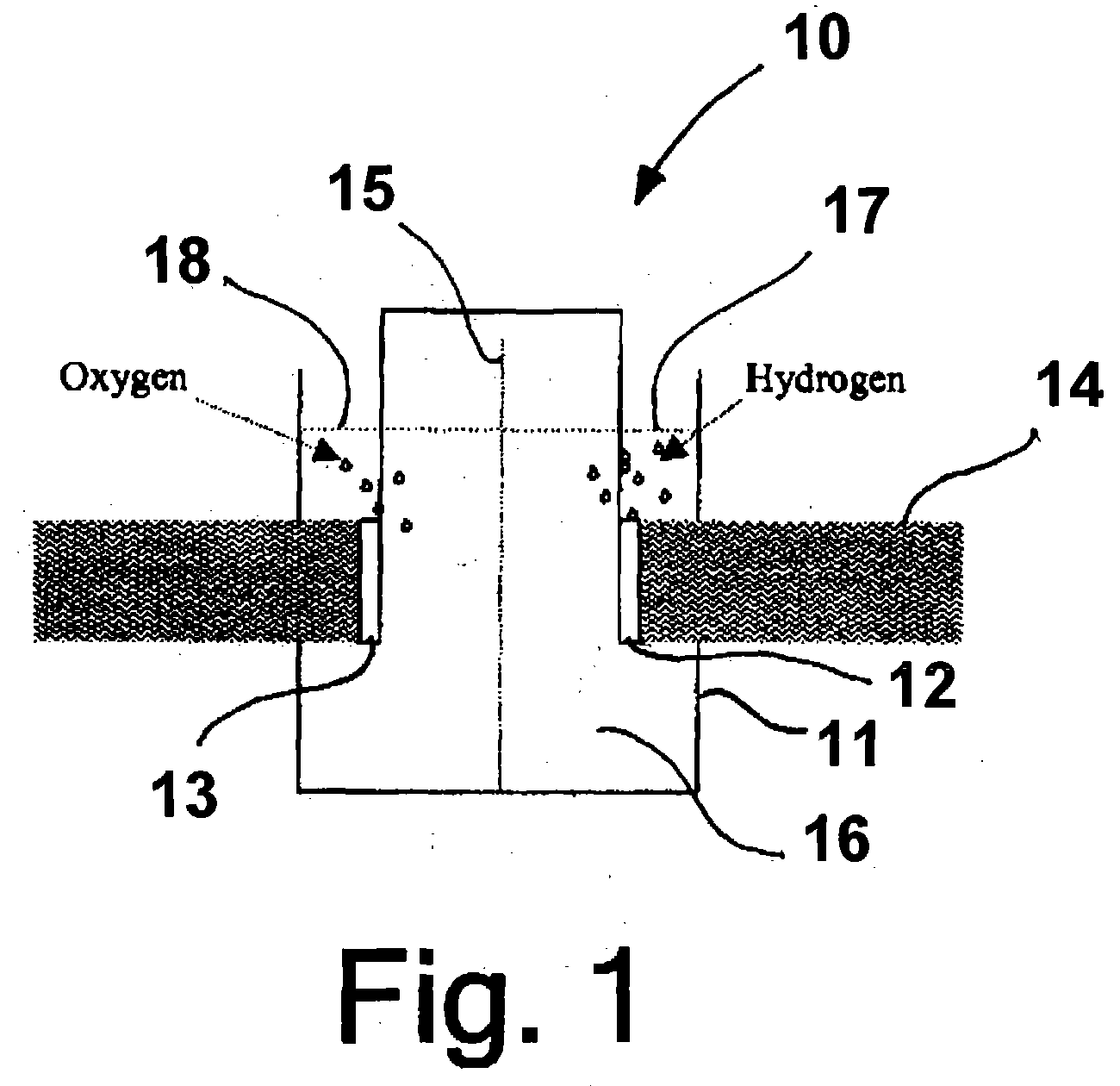 Photoelectrolysis of water using proton exchange membranes