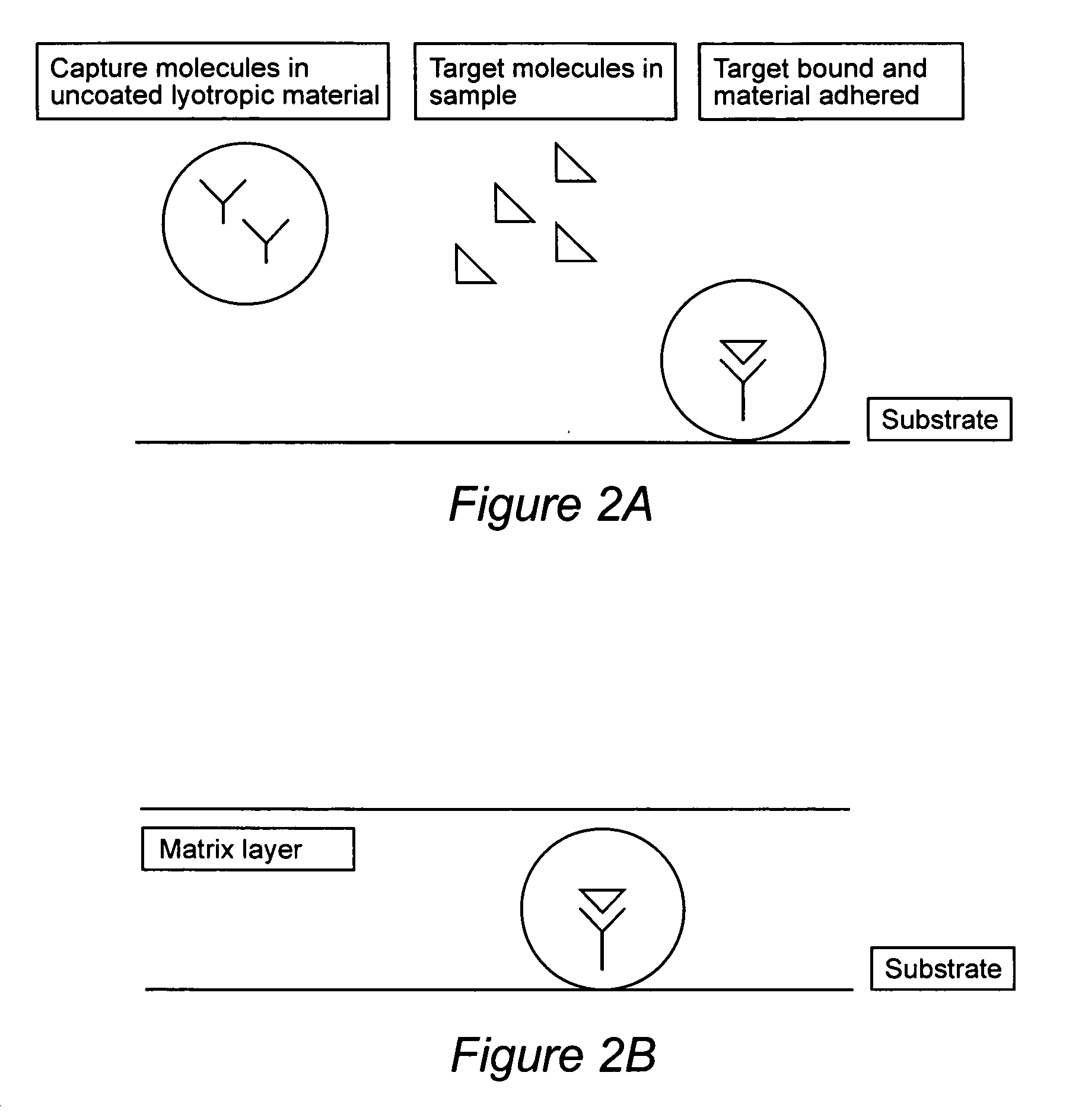 Compositions for binding to assay substrata and methods of using