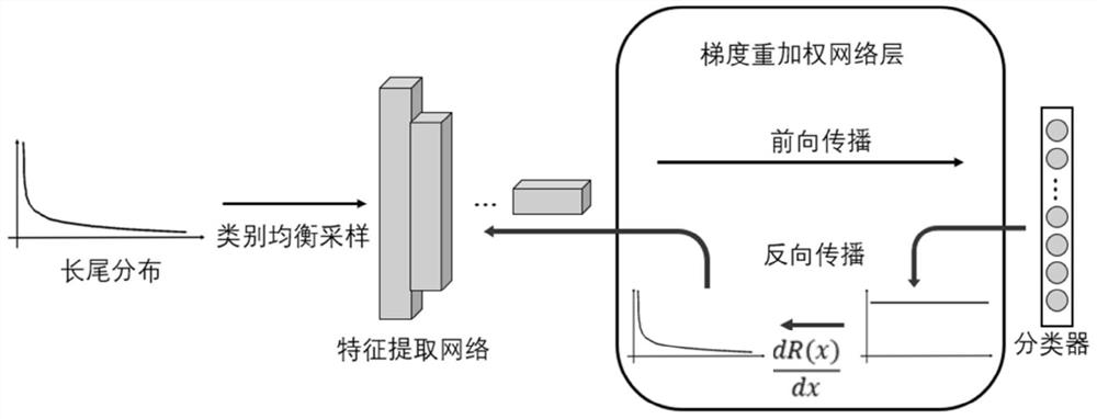 Neural network training method and device suitable for long-tail distribution data set