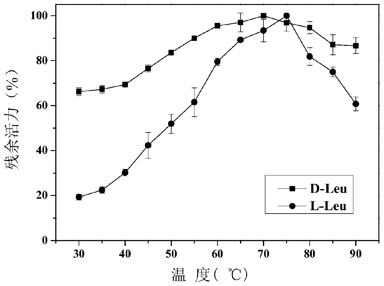 Amino acid racemase and application thereof