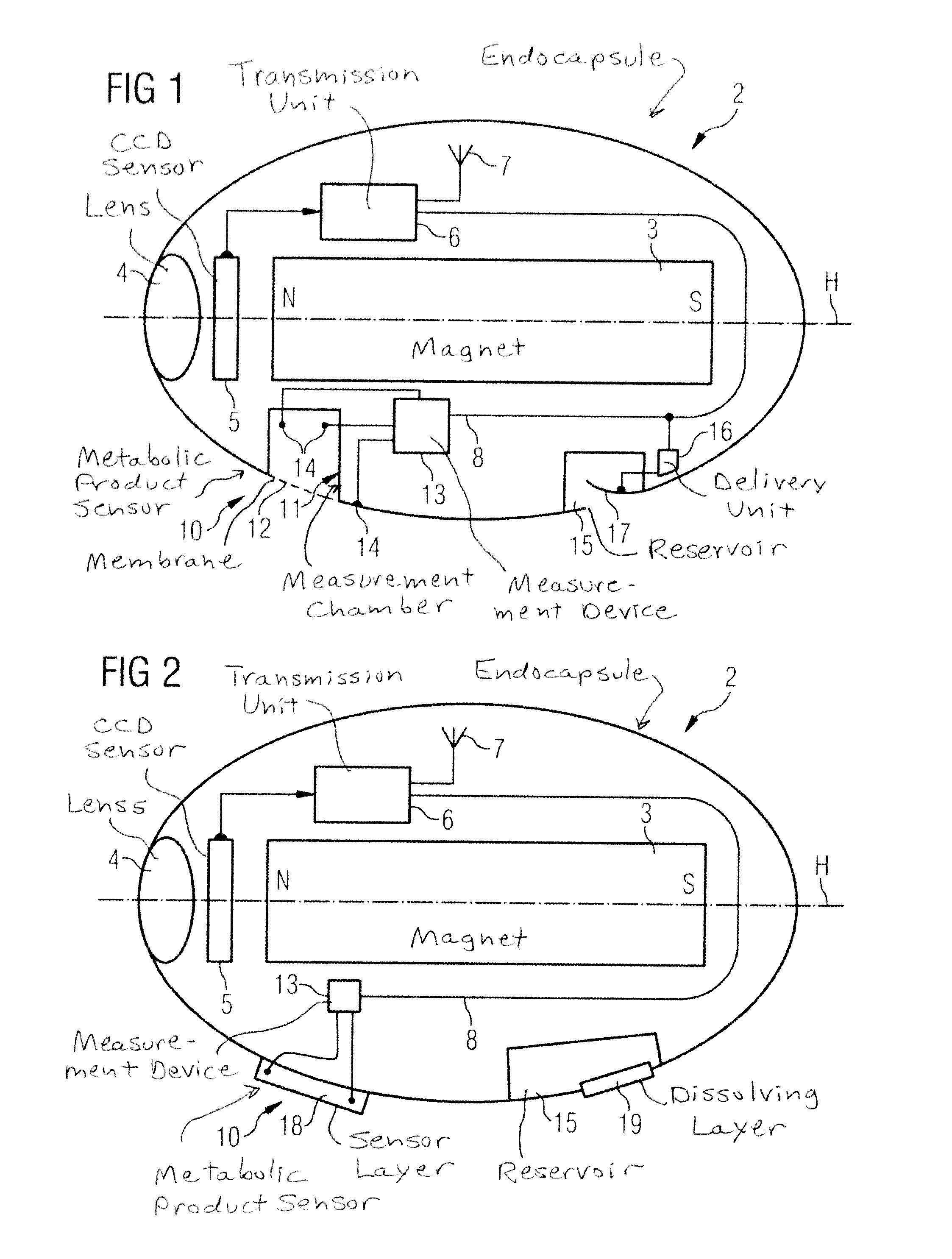 Endocapsule