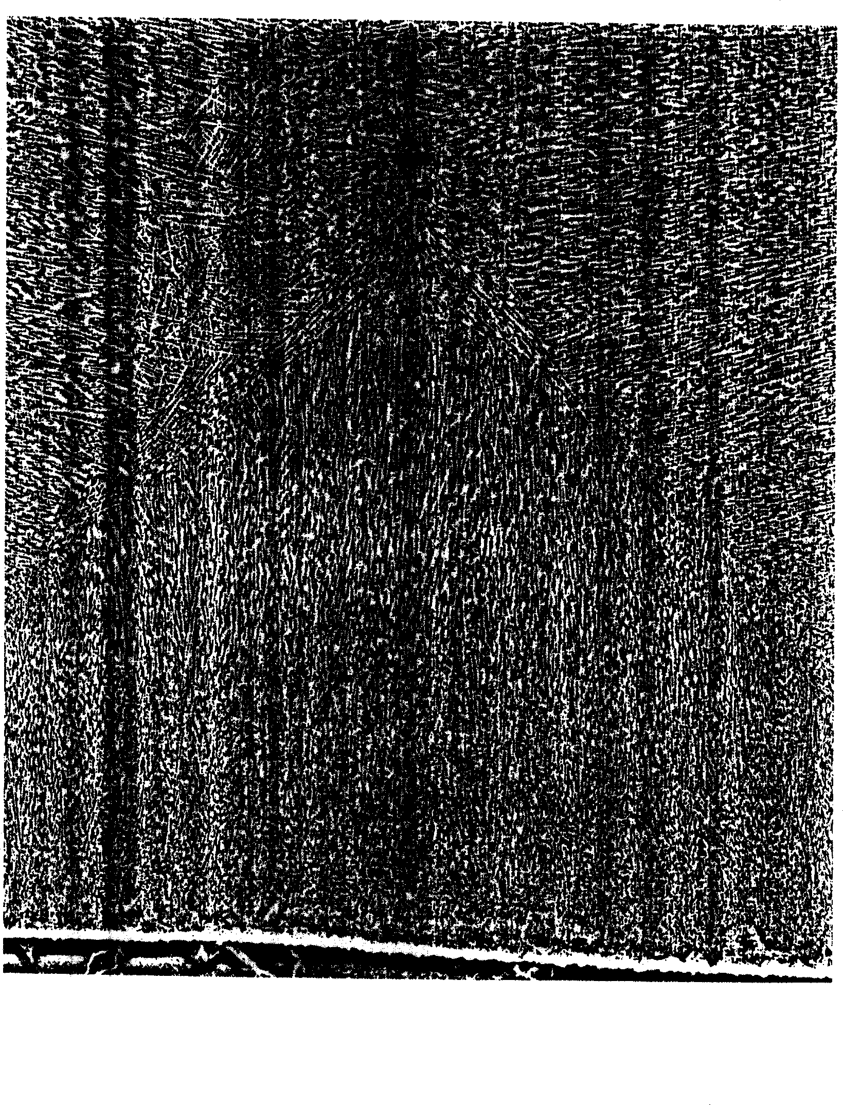 Corrosive agent for displaying silicon steel coagulation tissue and its preparation method