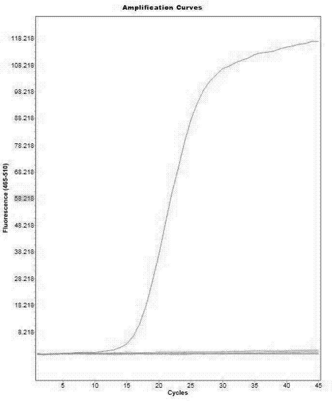 Triple fluorogenic quantitative PCR detection method of escherichia coli, Klebsiella pneumoniae and acinetobacter