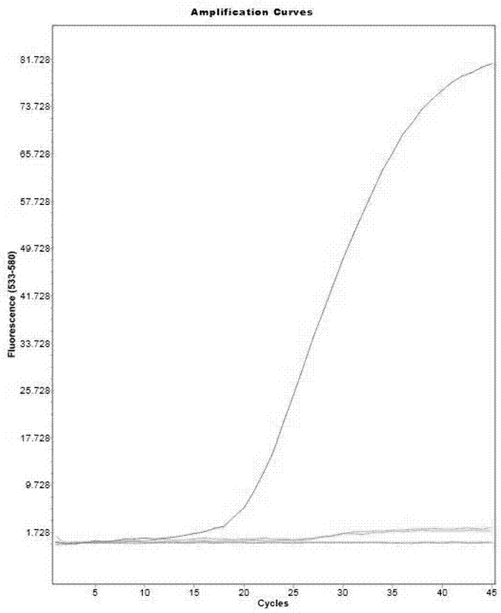 Triple fluorogenic quantitative PCR detection method of escherichia coli, Klebsiella pneumoniae and acinetobacter