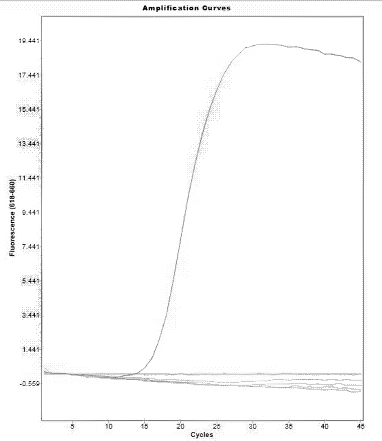 Triple fluorogenic quantitative PCR detection method of escherichia coli, Klebsiella pneumoniae and acinetobacter