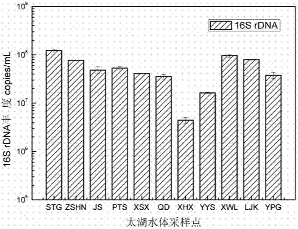 Evaluating method of bacterioplankton community in Taihu Lake water body