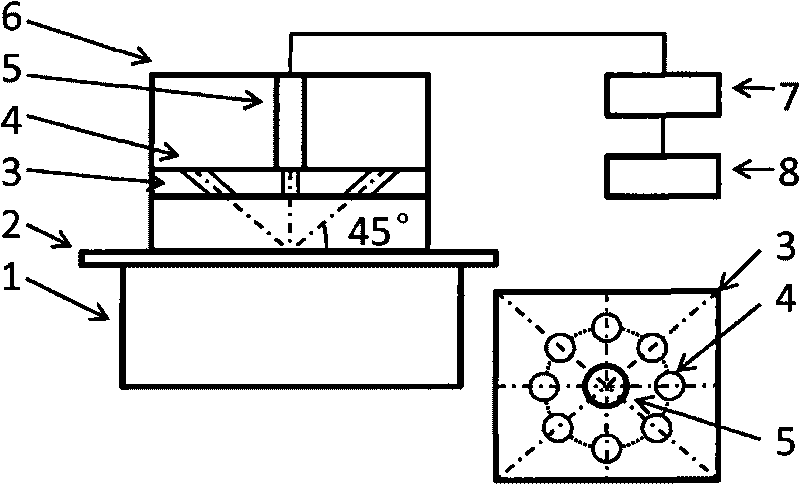 Characteristic wave bands based method and device for rapidly detecting content of proteins in black fungi