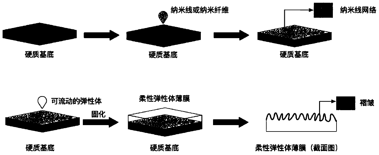 Method for forming pleats on surface of elastomer film