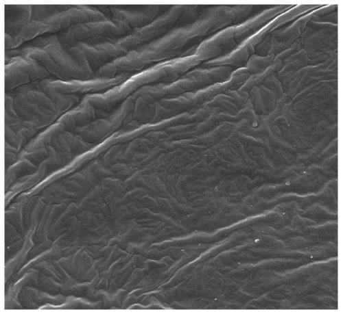 A kind of in situ implanted polymer particle solid electrolyte and preparation method thereof