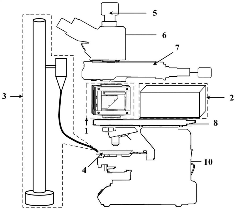 Coupling device, microscopic-optical tweezer single cell sorting system and sorting method