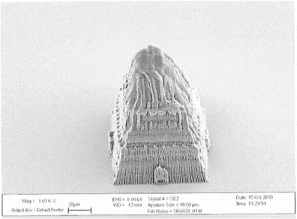 Method and device for spatially resolved input of an intensity pattern of electromagnetic radiation into a photosensitive substance and use thereof