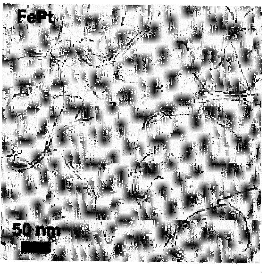 Method for preparing ammonia