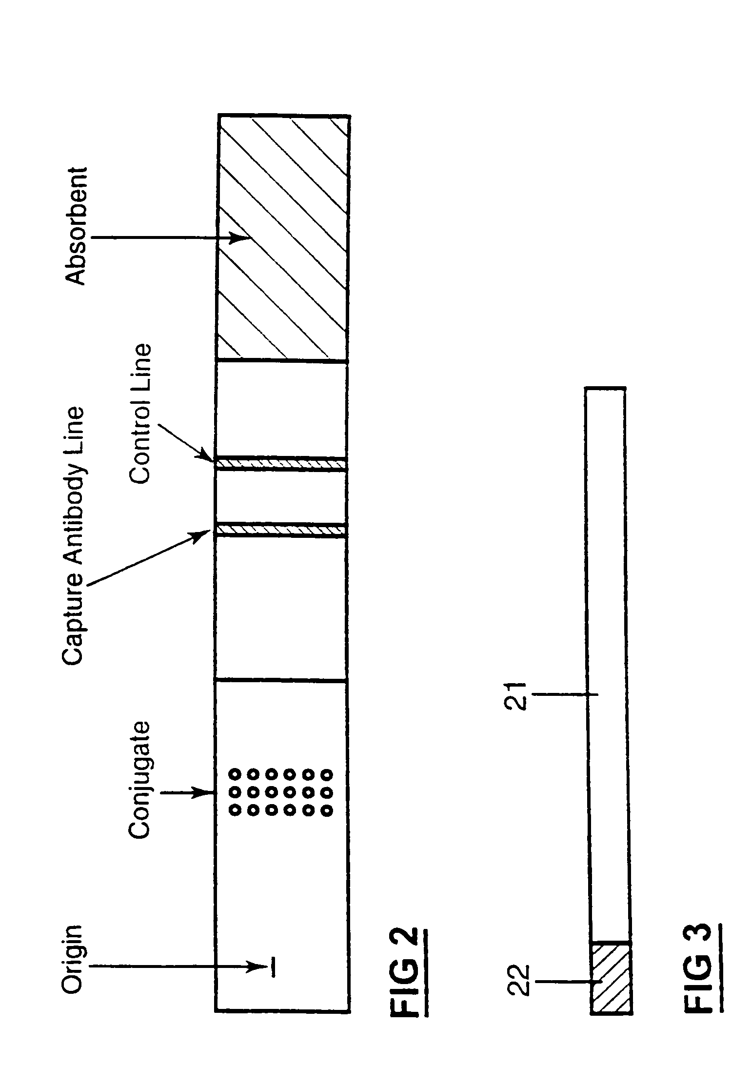 Sample collection and testing system