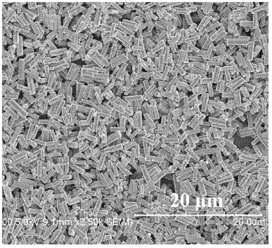 Preparation method of porous nano tin dioxide