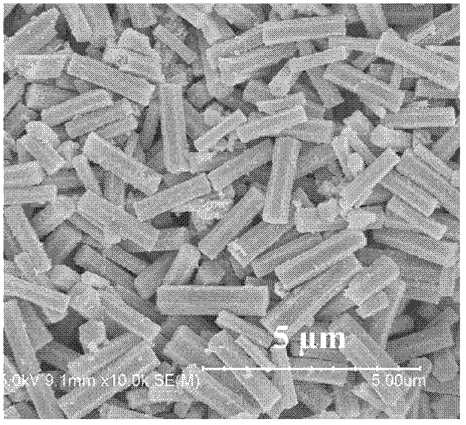 Preparation method of porous nano tin dioxide