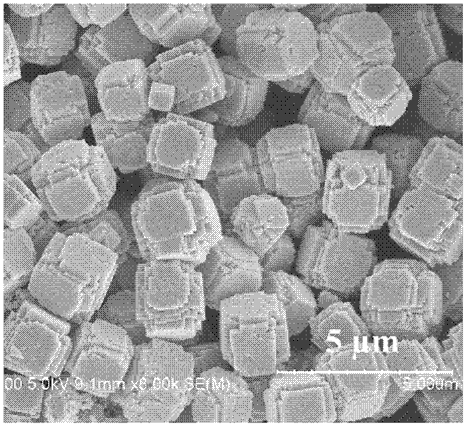 Preparation method of porous nano tin dioxide