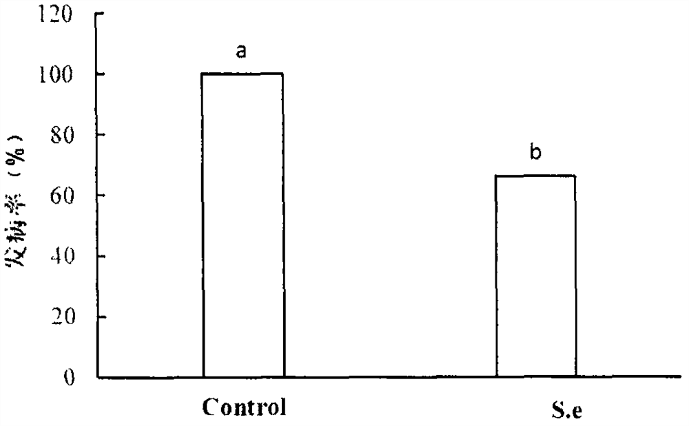 A Saccharomyces cerevisiae strain used for postharvest disease control of fruit and its application