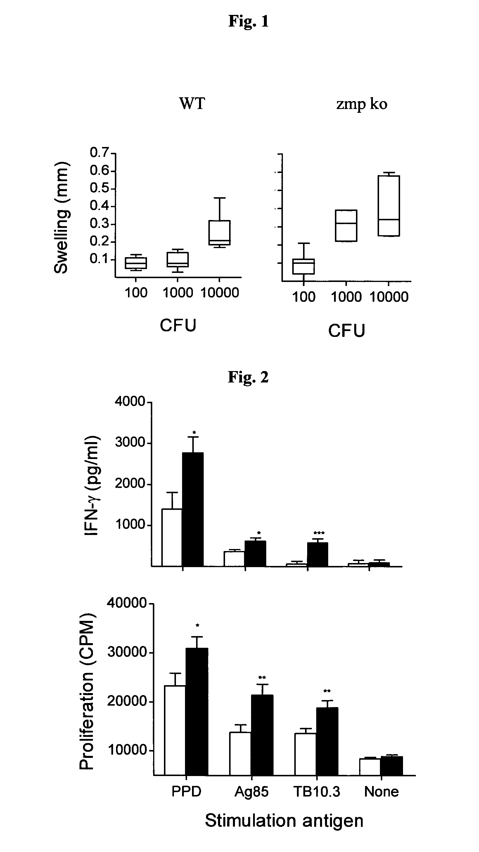 Mycobacterium tuberculosis vaccine