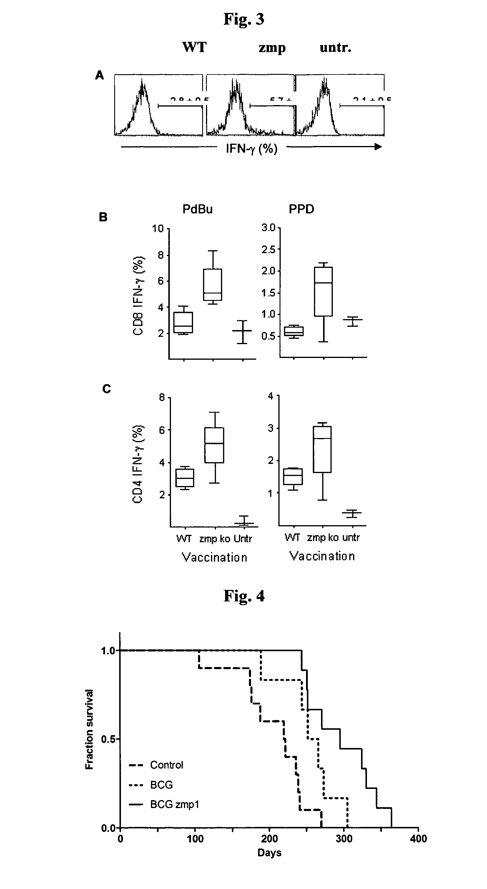 Mycobacterium tuberculosis vaccine