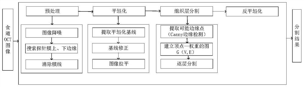 Method and system for automatic segmentation of esophageal endoscopic oct image hierarchy