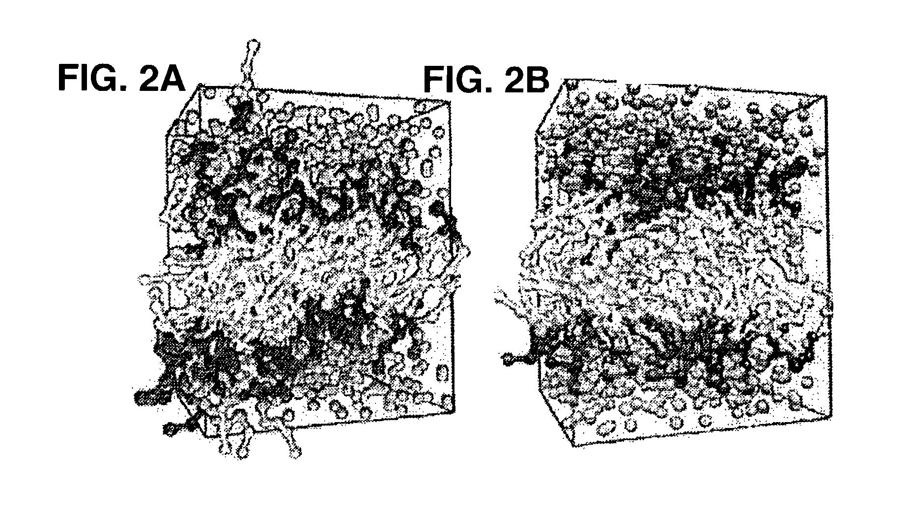 Methods, systems, and computer program products for simulating biomembrances using coarse grain models