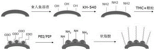 Super-hydrophobic wire mesh and preparation method thereof