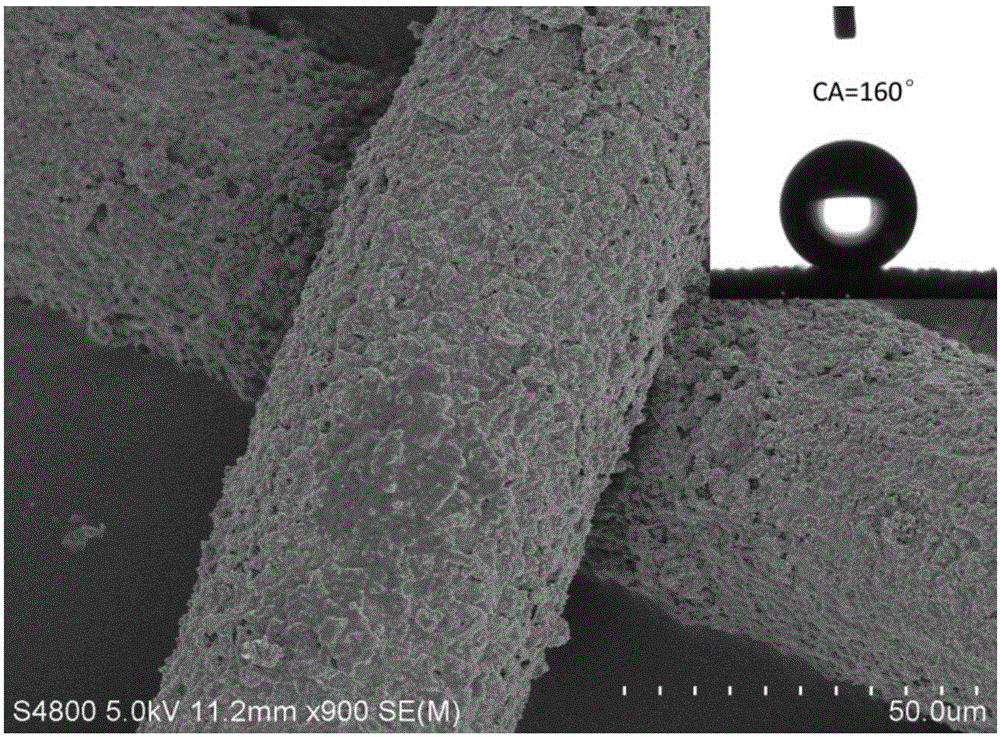 Super-hydrophobic wire mesh and preparation method thereof