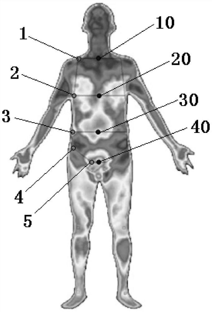 A digital visualization system and method for traditional Chinese medicine