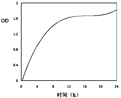 A kind of biological agent for controlling clubroot of cruciferous crops and its application