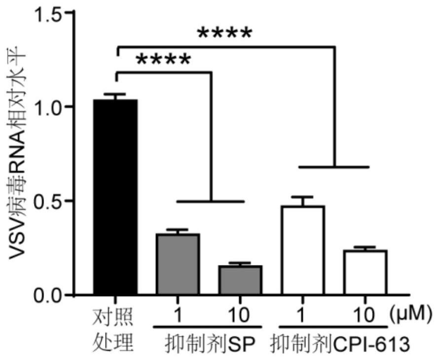 Application of ogdh inhibitors in the treatment of viral infectious diseases