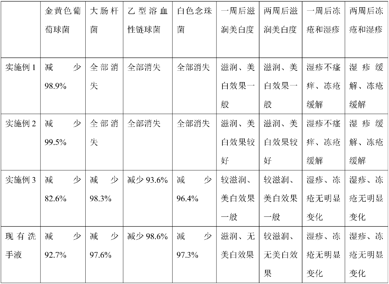 Novel Chinese medicinal hand wash capable of effectively sterilizing and nourishing