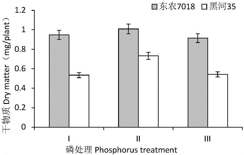 Mixture for improving soybeans' availability of phosphorus sources and application thereof