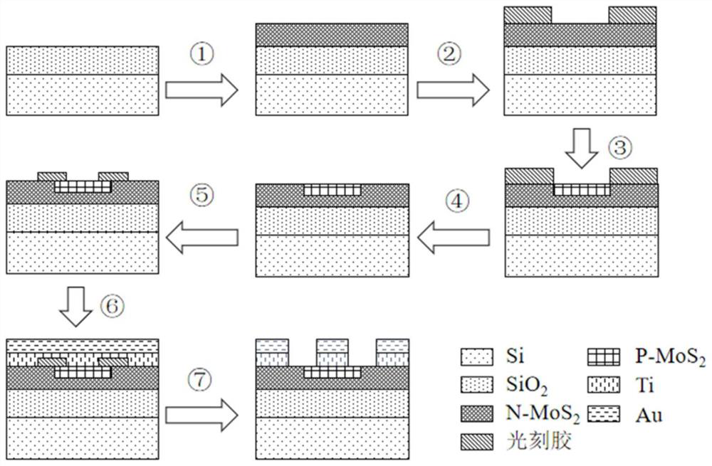 based on mos  <sub>2</sub> Homojunction field effect transistor and preparation method thereof