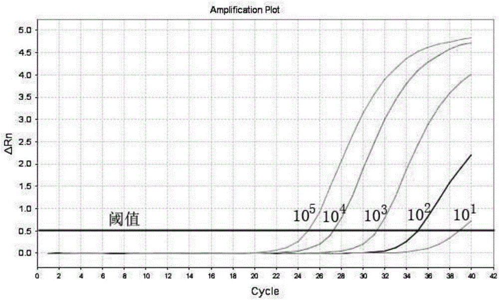 Multiplex fluorescent PCR kit and method for detecting fusion genes of leukemia