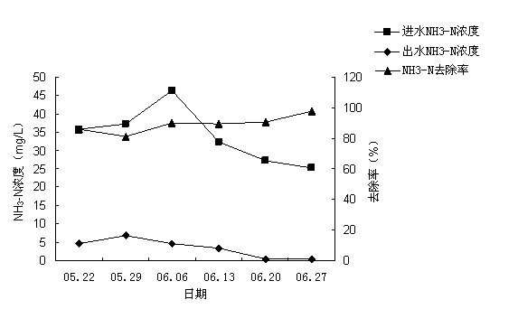 Application of centella asiatica in treatment of livestock and poultry breeding wastewater