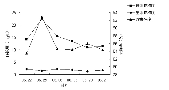 Application of centella asiatica in treatment of livestock and poultry breeding wastewater