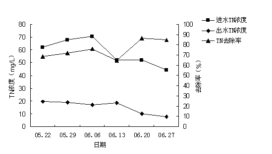 Application of centella asiatica in treatment of livestock and poultry breeding wastewater