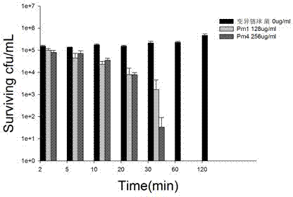 Anti-oral cariogenic bacteria polypeptide Pm1 and preparation method