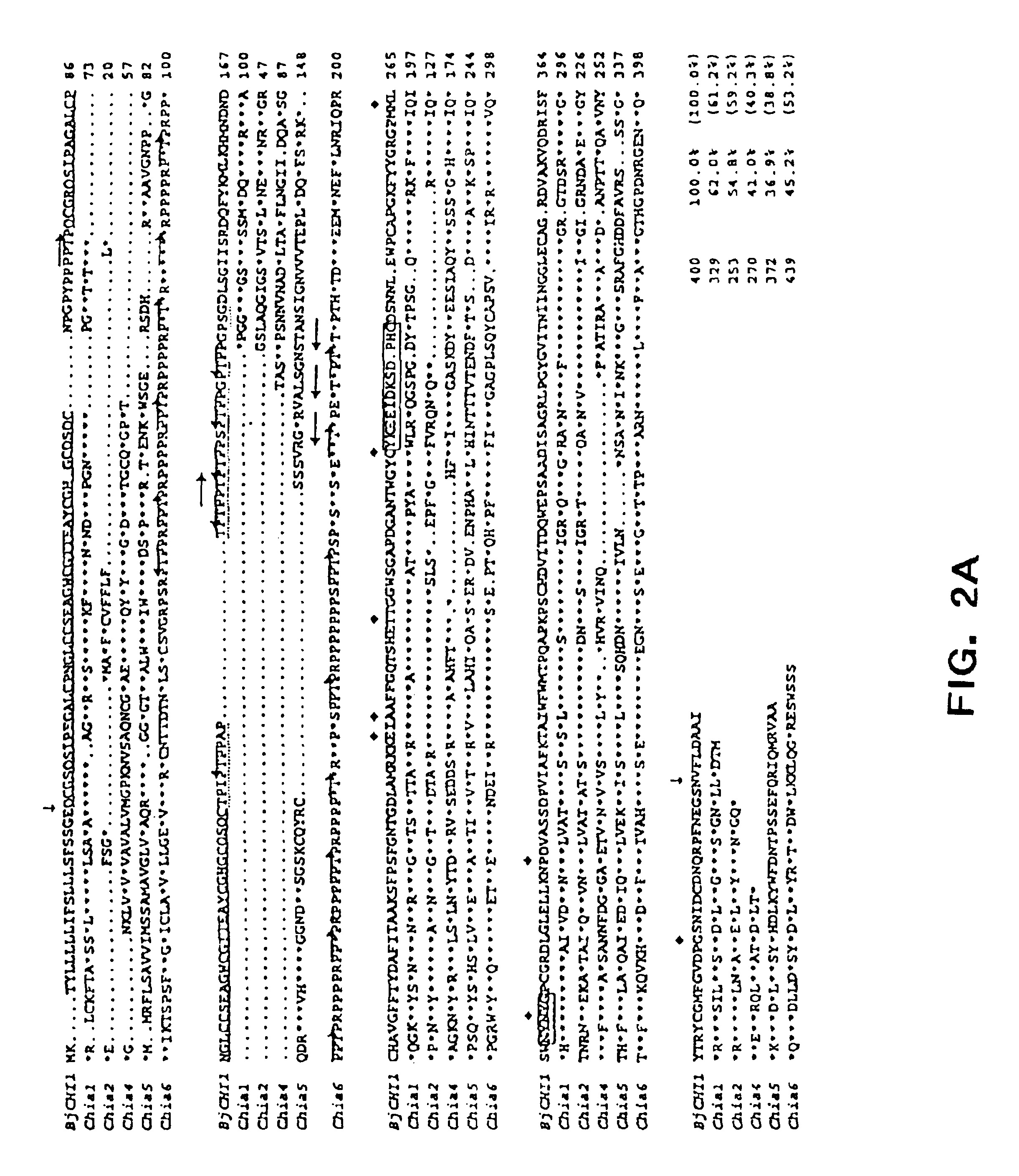 Genetically modified plants with enhanced resistance to fungal diseases and a method of production thereof