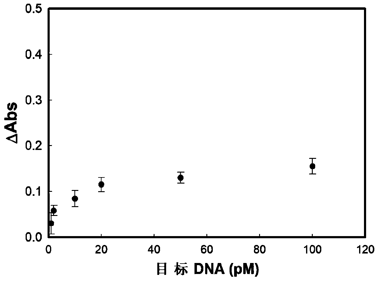 Method for detecting DNA or protein based on double-amplification method