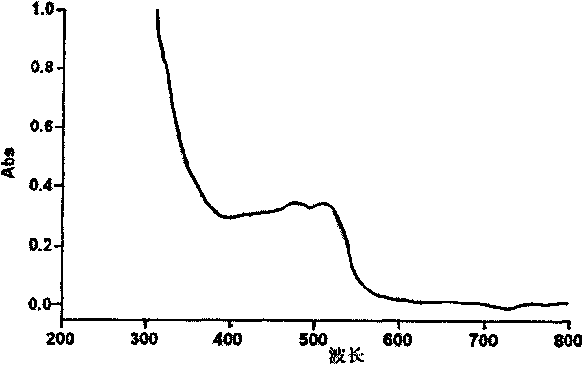 Method for preparing organic iron supplement by using radix codonopsitis