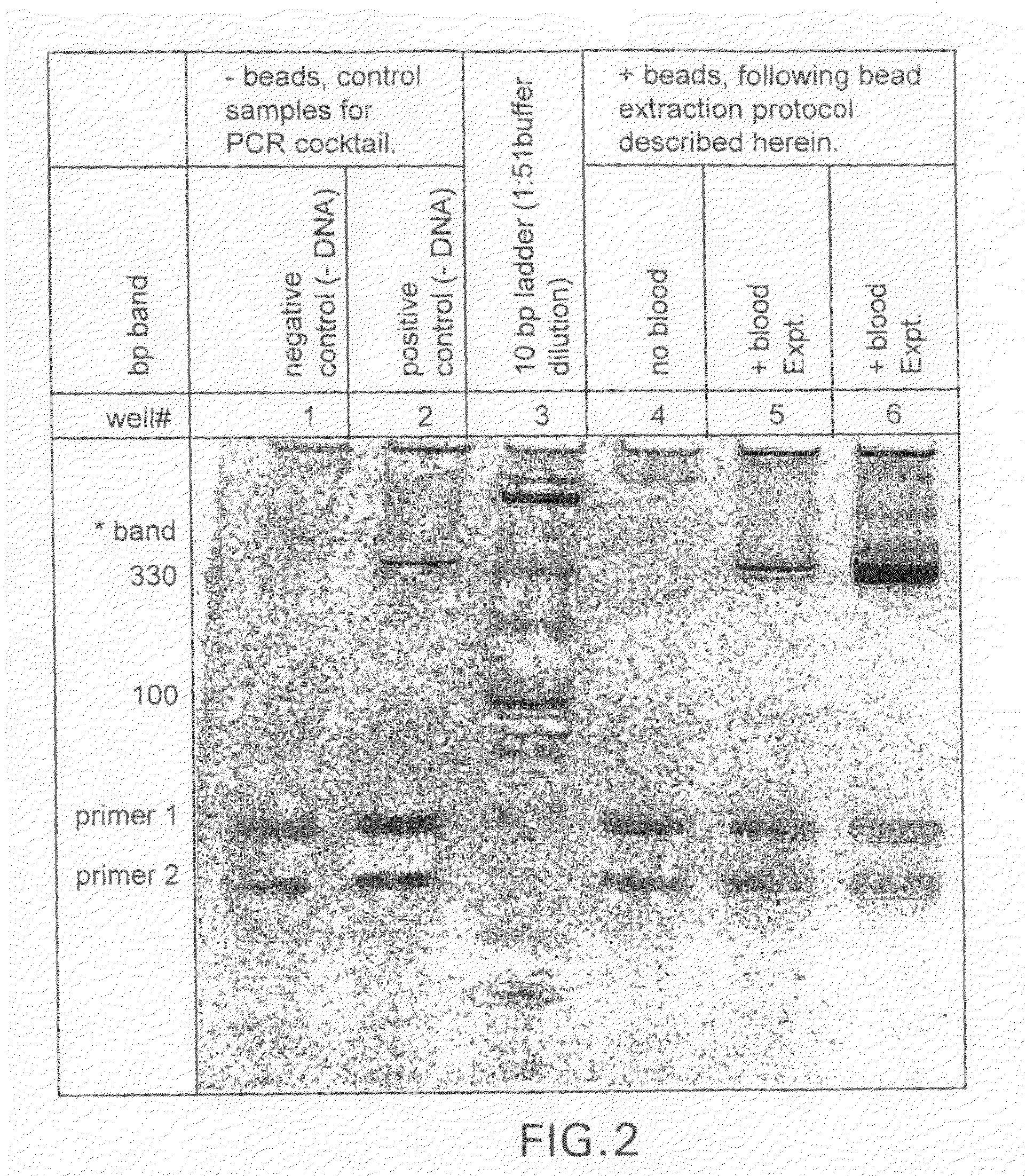 Molecular diagnostics system and methods